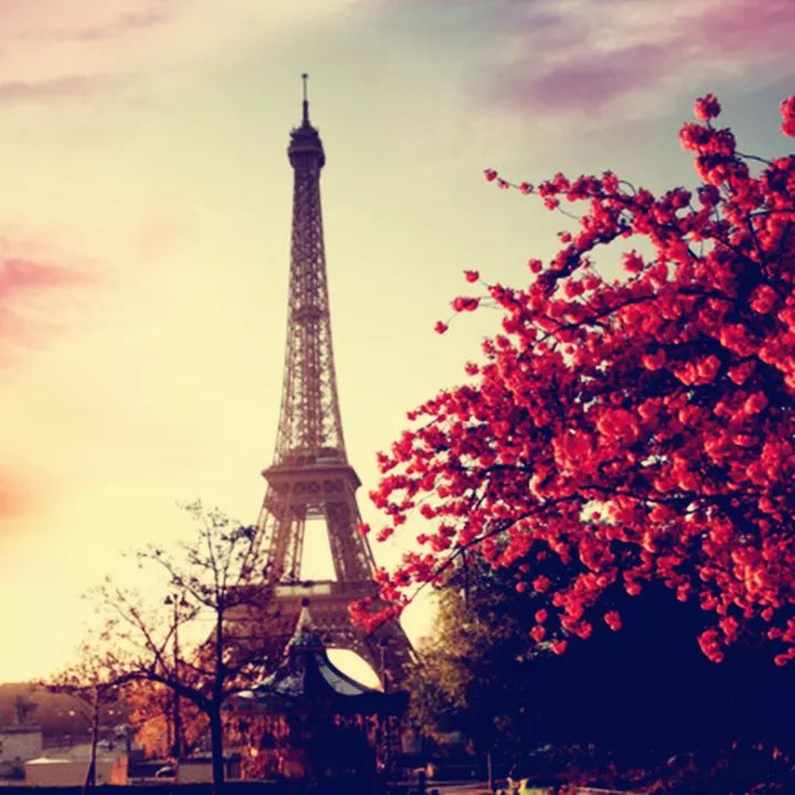 一室一卫出租屋改造全过程,房屋改造出租屋全过程