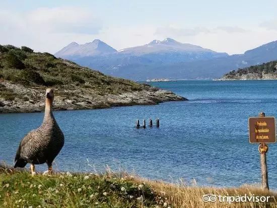g20阿根廷峰会各国领导入场,g20签证