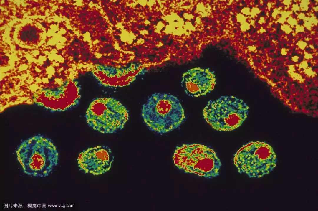 共抗艾滋共享健康视频素材,共抗艾滋共享健康活动简报