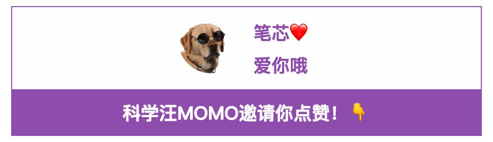 养牛头梗的注意事项,五个月的牛头梗好养吗