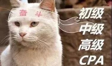 我和我的专业相爱相杀的每一天