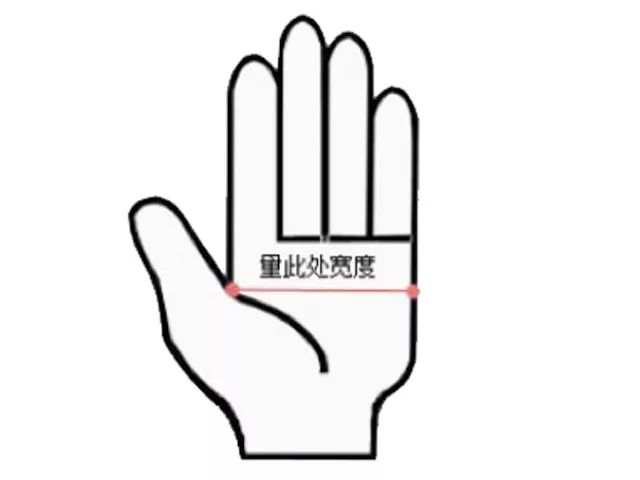 一条精选｜韩国专利家务手套，德国SOS热敷肩颈贴