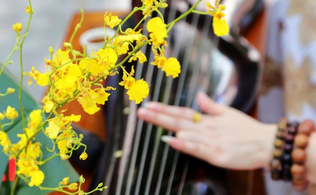 60首经典养生音乐,听歌真的能养生吗