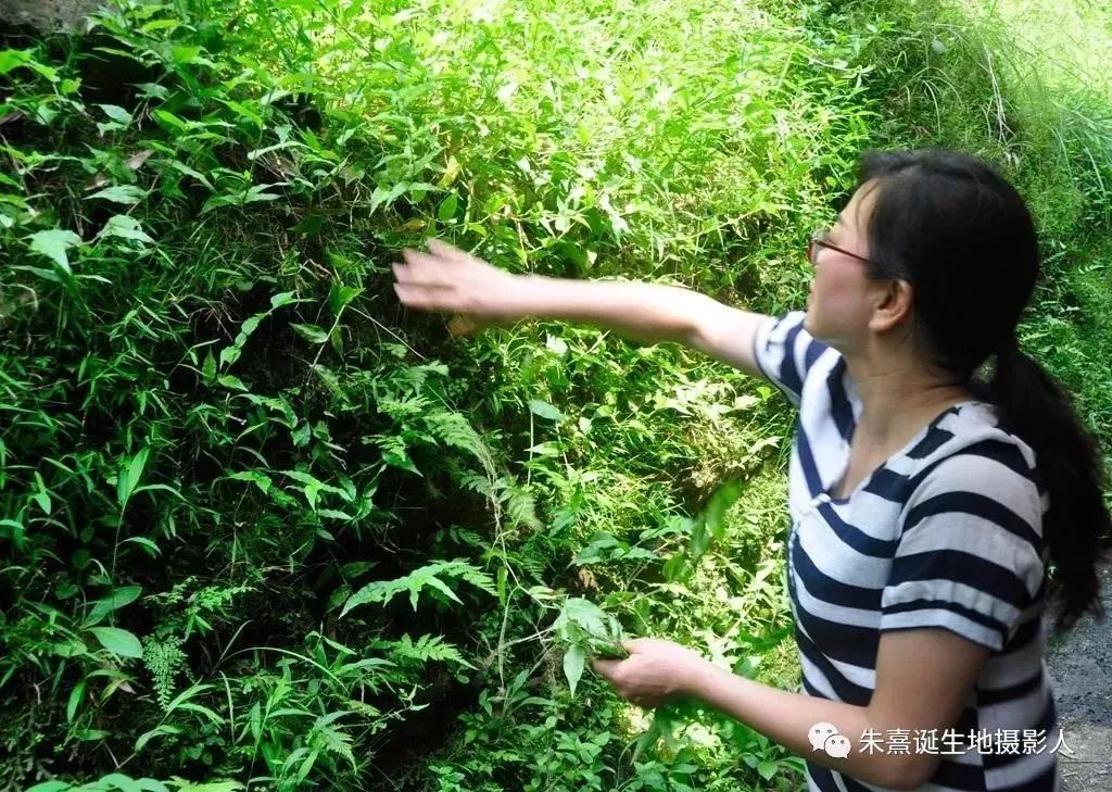 「点赞」这个尤溪人入围省级榜单!