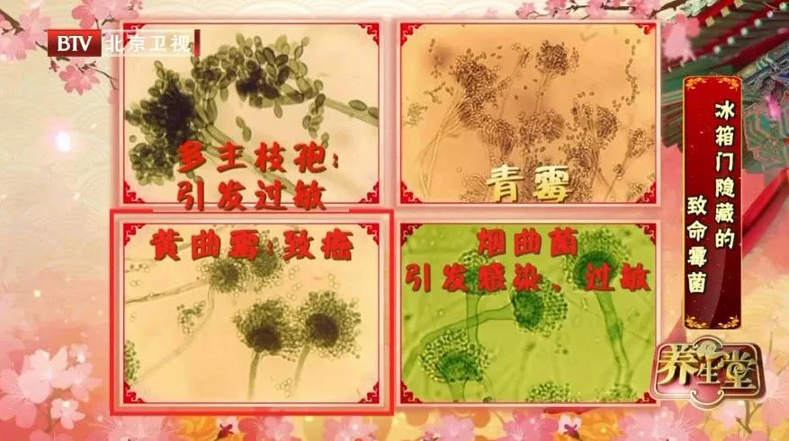 霉菌真的那么可怕吗,霉菌是一级致癌物检测报告