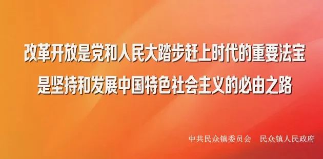 香港足球队和村超队谁赢了,香港足球队参加中冠联赛