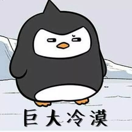 航天防寒鞋女款,加厚保暖鞋零下30度抗寒