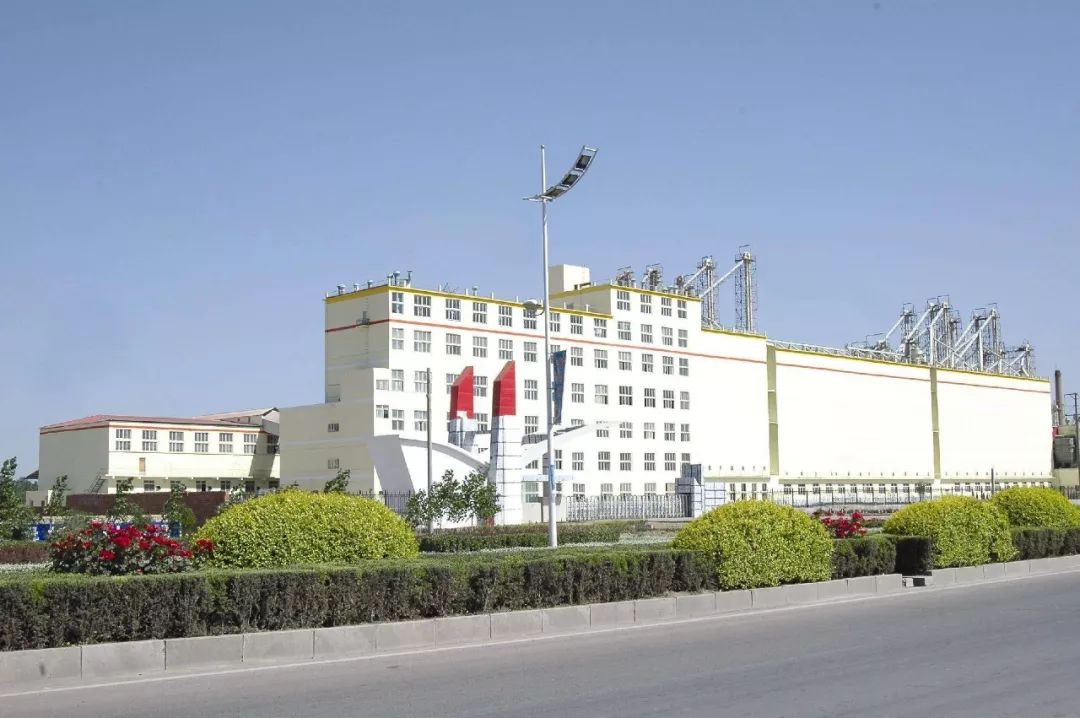 大名五得利面粉集团简历,大名县五得利面粉集团