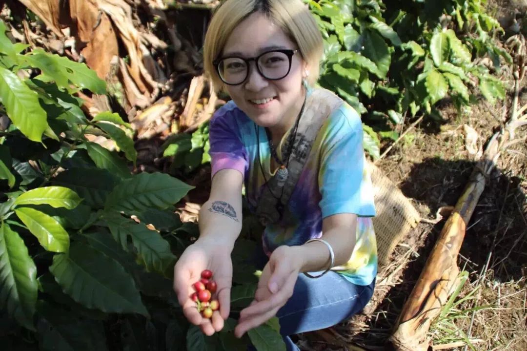 那个开着旅行咖啡车的女孩，暂别荒野重返都市