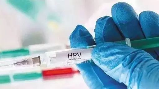 绍兴有九价hpv疫苗打的地方吗,九价hpv疫苗纳入适龄女孩接种方案