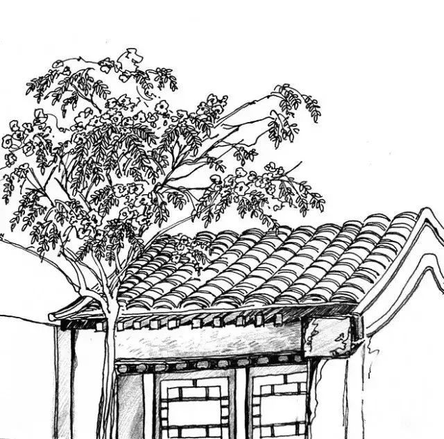 夜话丨季羡林处女作：枸杞树