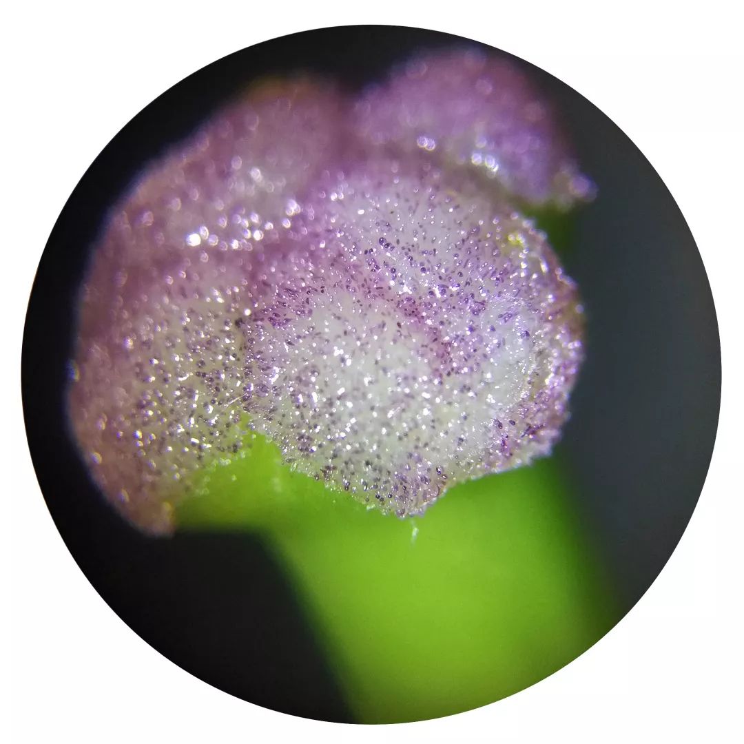 双12给宝宝囤的宝宝用品,双12宝宝必买清单