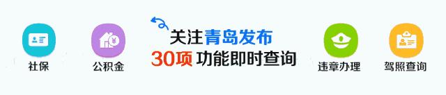 青岛市政务电话一览表,青岛各区市政务热线