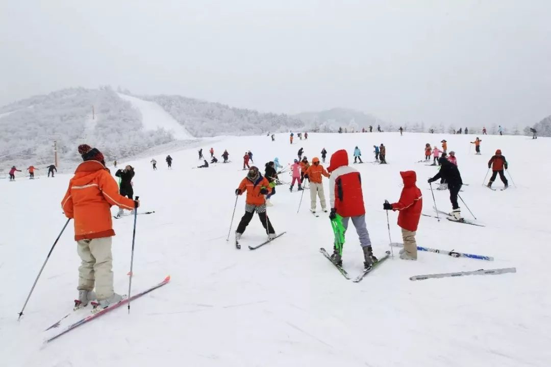 神农架国际滑雪场今日雪况,神农架滑雪场周末攻略