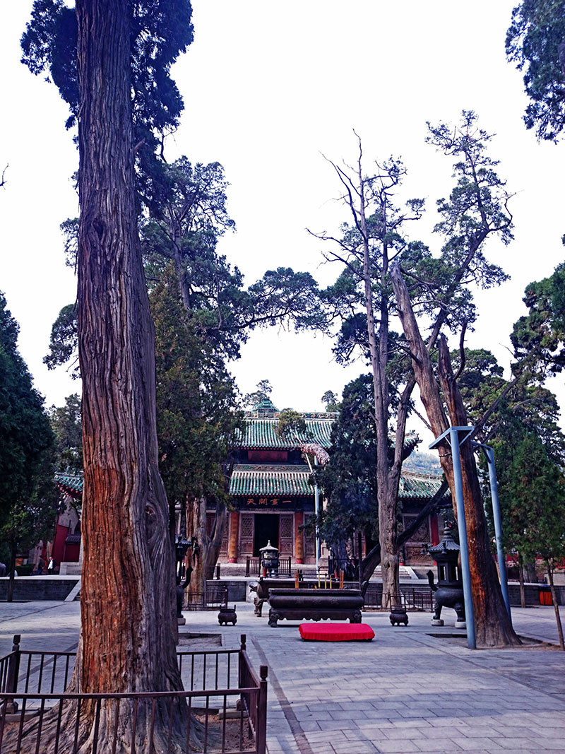 嘿！让我来说说我的旅途