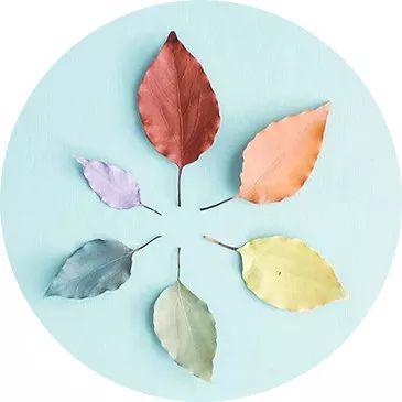 广西体育场草坪养护,河北体育场草坪养护团队