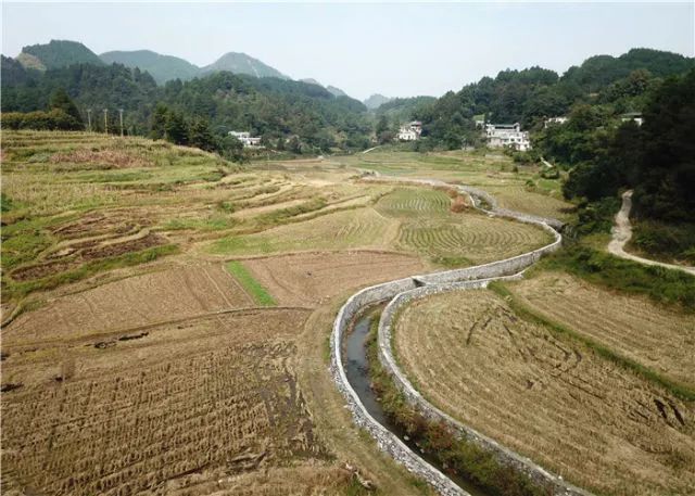 八桂大地起春潮——以习*平近**同志为核心的*党**中央关心广西发展纪实