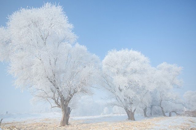 抖音十大热门旅行目的地,抖音十大热门旅行目的地公布