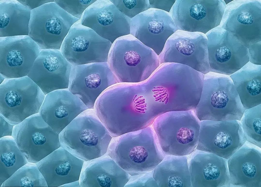 告诉你一个惊天的大秘密,告诉你一个惊天秘密