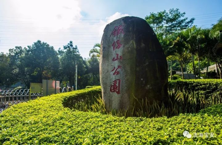 打造宝安版“高新科技园”!铁仔山片区创建高新技术大科技城