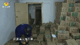 麻阳冰糖橙老人,怀化老人卖橙子