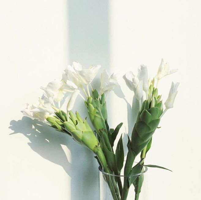 宋慧乔开播新剧,宋慧乔新剧美貌