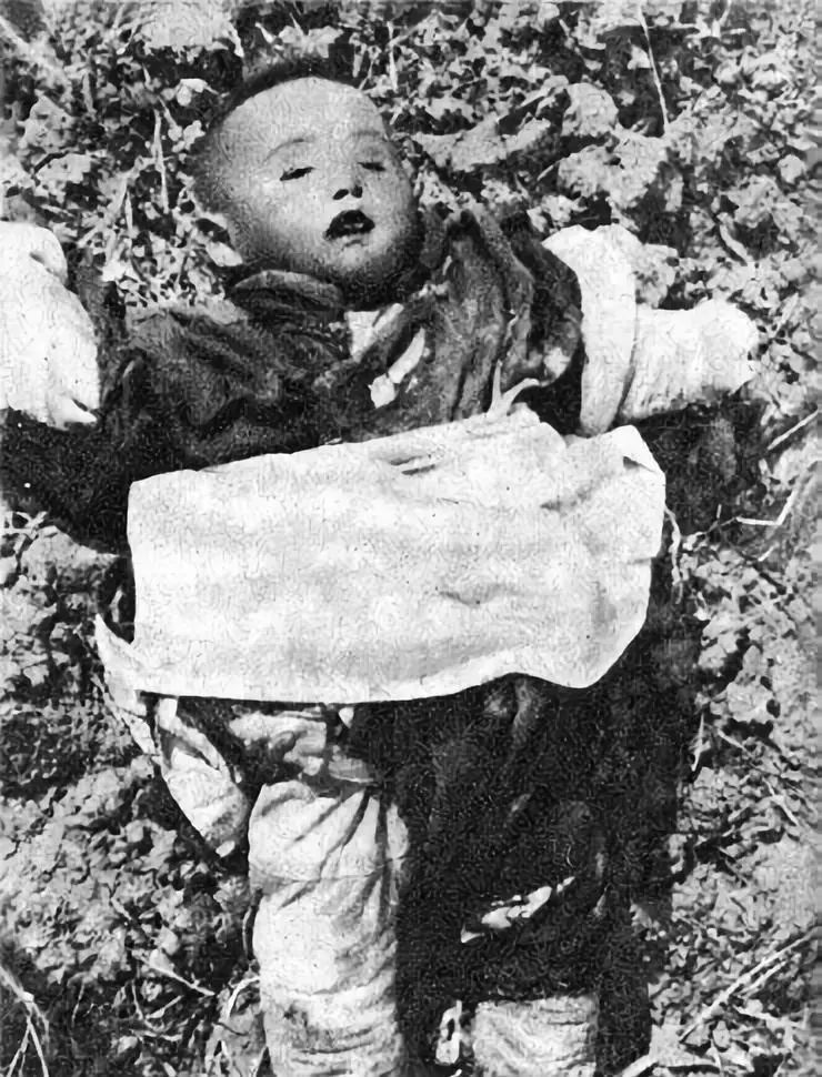 *京大南***杀屠**和我有什么关系?