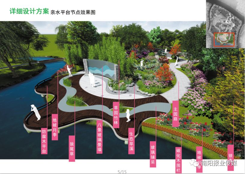 最美南阳月季园,看到美丽的月季花心情豁然开朗