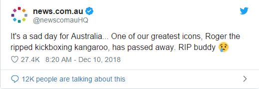 澳大利亚袋鼠手撕铁桶,袋鼠徒手捏爆铁桶