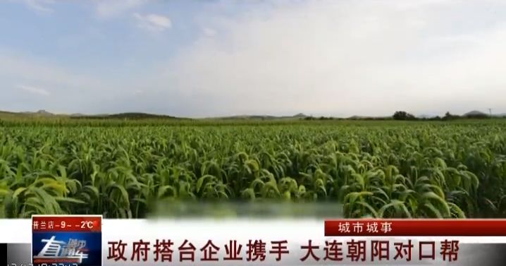 澶ц繛瀵瑰彛甯壎鏈濋槼,澶ц繛2022瀵瑰彛甯壎鍩庡競