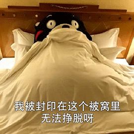 万里挑一,“职”想要你!超多招聘信息快来获取!