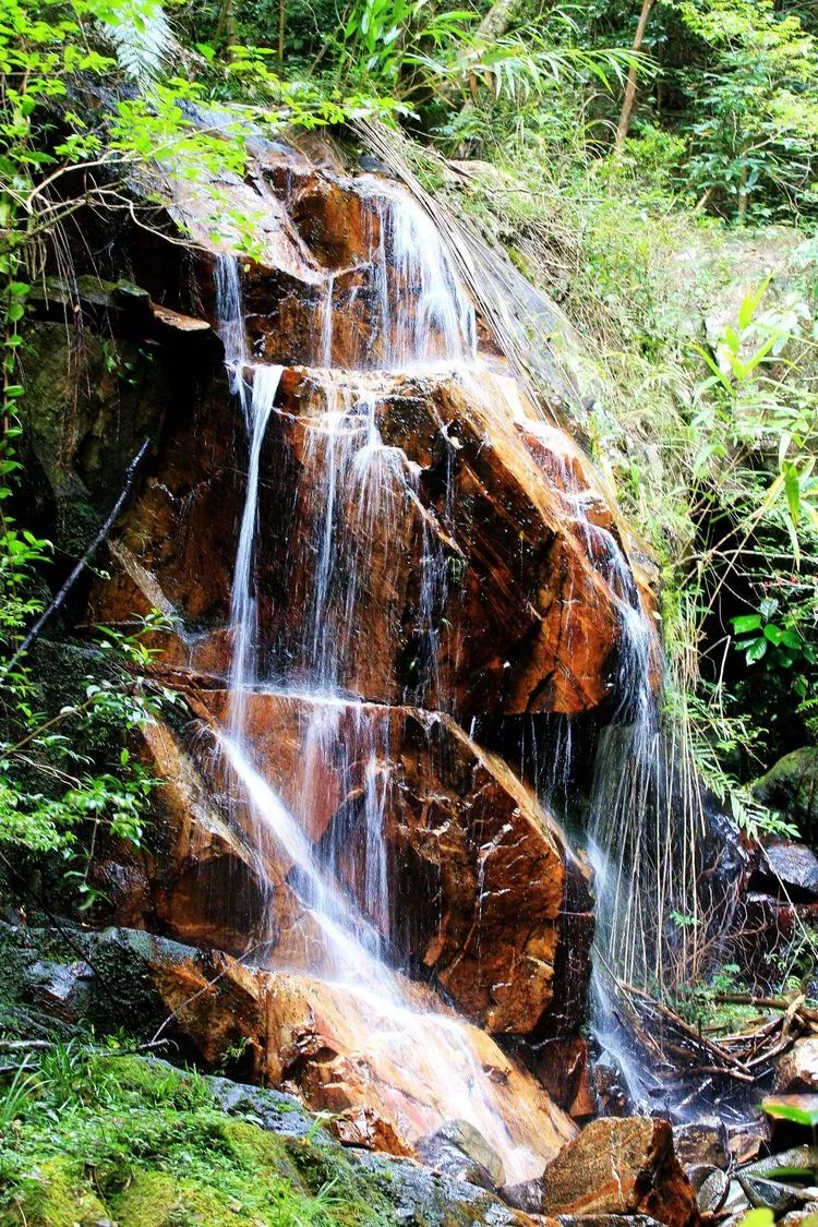 厦门云雾缭绕人间仙境山顶美景,厦门最美山上风景