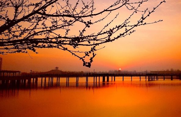 最新邯郸市已封小区名单,邯郸市小区名单