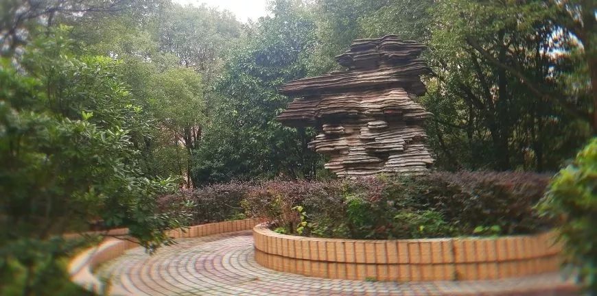 鍜屽悓妗岀帺浣犵敾鎴戠寽,鍜屽皬姹熷幓娓镐箰鍦虹帺