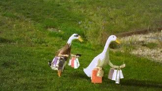 去香港买药怎么去划算,港澳购药攻略