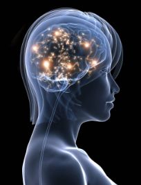 专栏｜划破手指是小事？它可能引发这些大毛病！