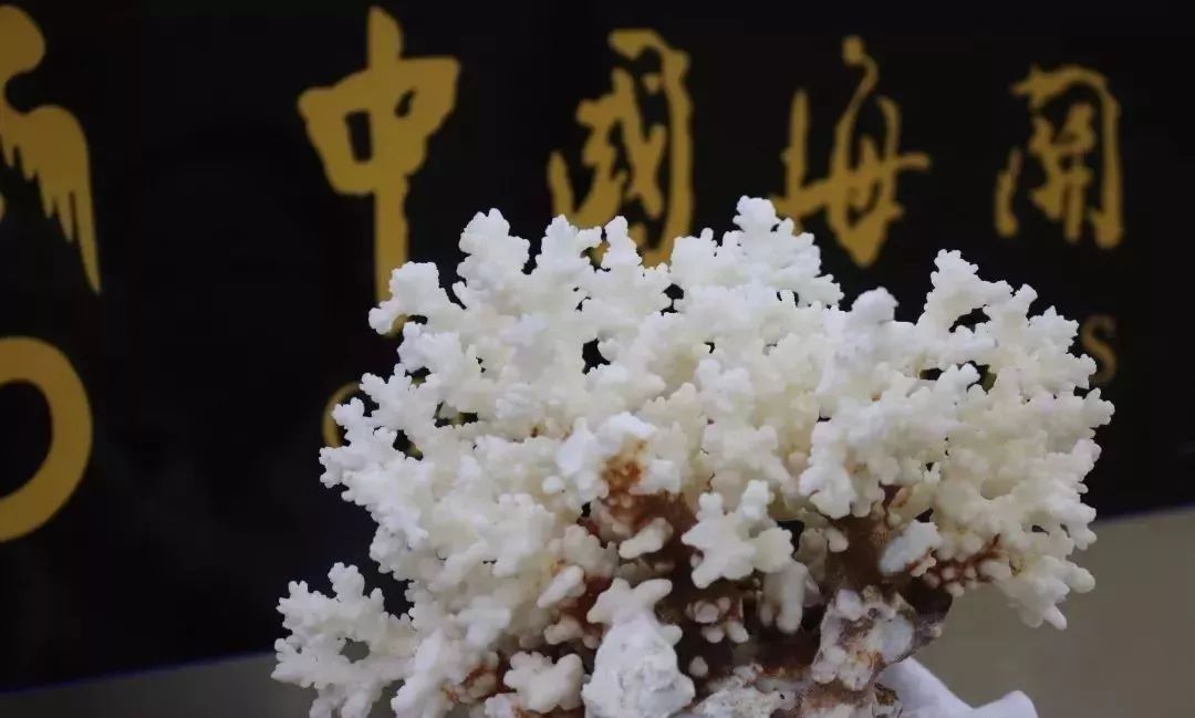 去港澳过关可以带食品吗,去东莞需要带哪些必备品