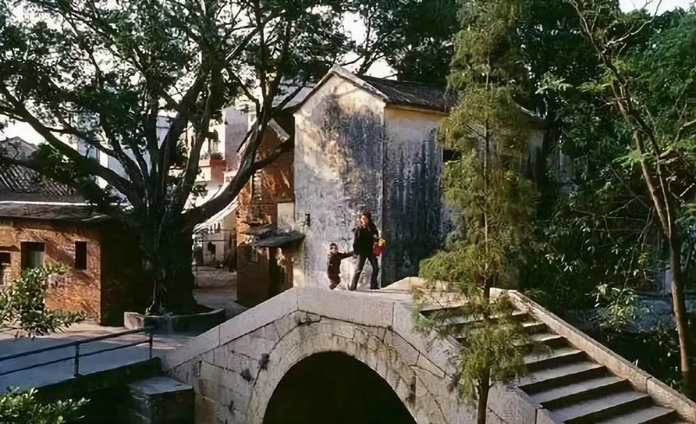 可怕的顺德视频,顺德华人