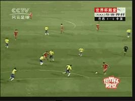 越南球迷新年快乐,越南球迷欢呼