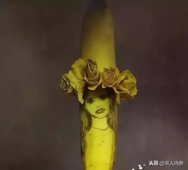 农业与艺术,农业可以很艺术