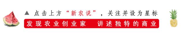 网红水果店现状,被抛弃的老王