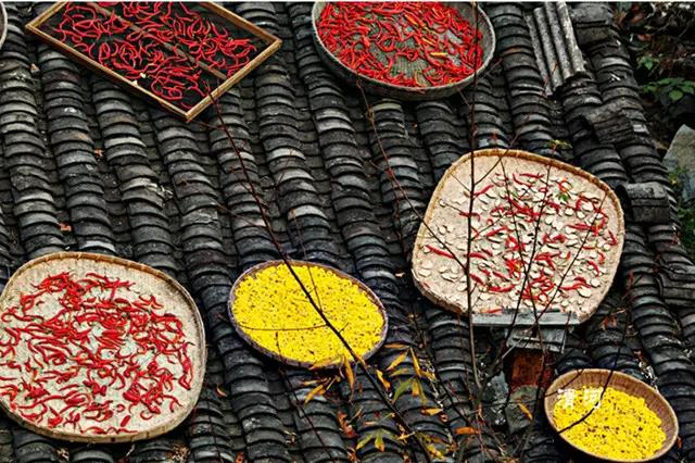 抖音十大热门旅行目的地,抖音十大热门旅行目的地公布