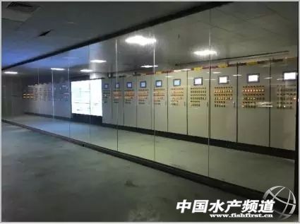 生态养鱼新模式,高档水产品养鱼最新模式