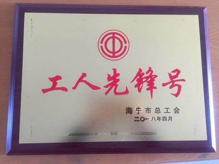 印染产业发展,龙洲印染新闻发布会