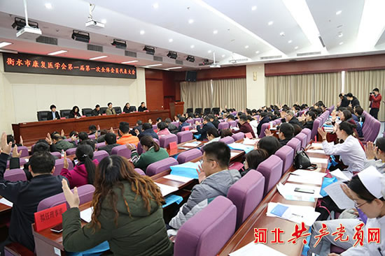 衡水市康复医学会成立打造高效学术交流平台