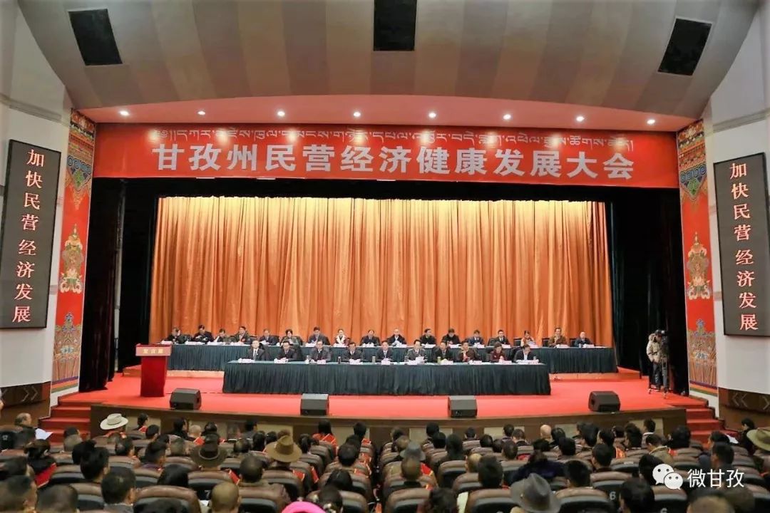 表扬优秀民营企业家,浙江省优秀民营企业表彰