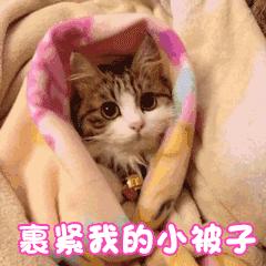 尤溪县天气几度回暖了呢,尤溪近三个月天气