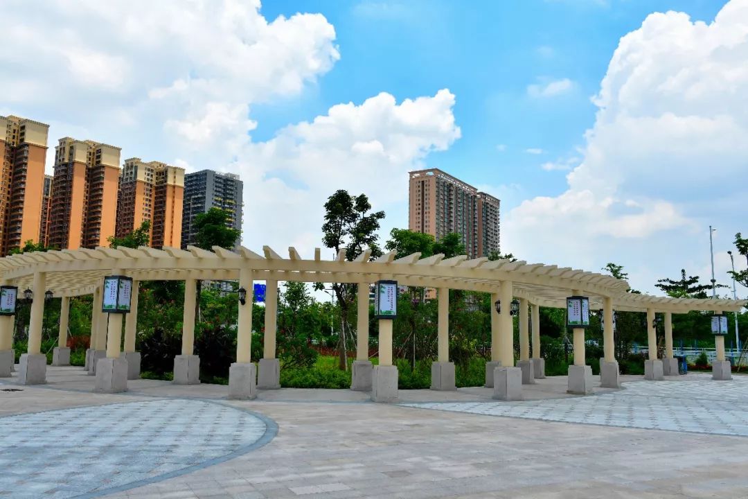 这里是新桥小学,这里是新桥