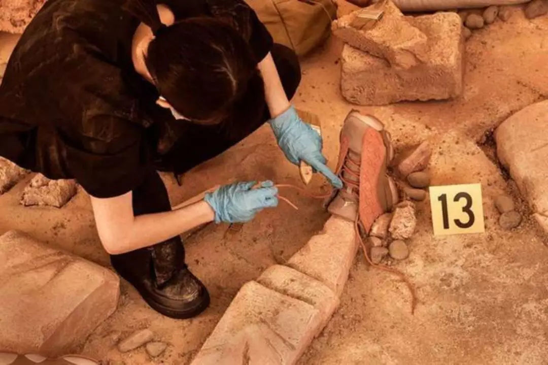 aj和陈冠希,aj和陈冠希联名400块钱左右的鞋