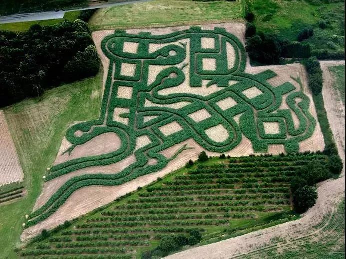 鍐滃簞鍐滃満鍒涙剰鏅,浼戦棽鍐滃簞鐗硅壊鏅